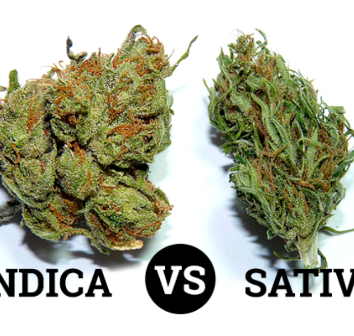 Los orígenes de la índica y la sativa son diferentes, ya que los dos tipos de cannabis se originaron en distintas regiones tropicales.