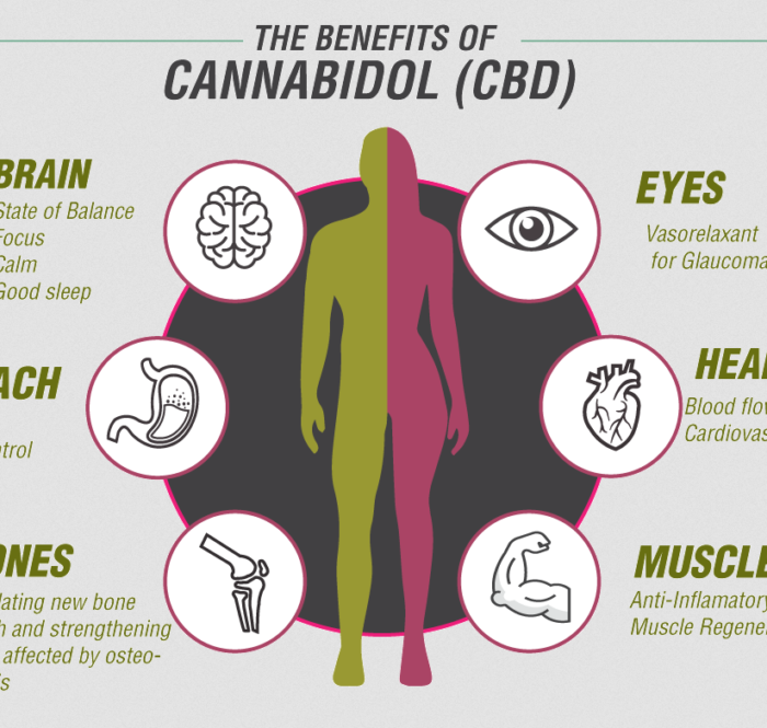 El aceite de CBD es a todos los efectos un derivado del cannabis sativa, que se obtiene según diferentes métodos de extracción aplicados a las inflorescencias femeninas.