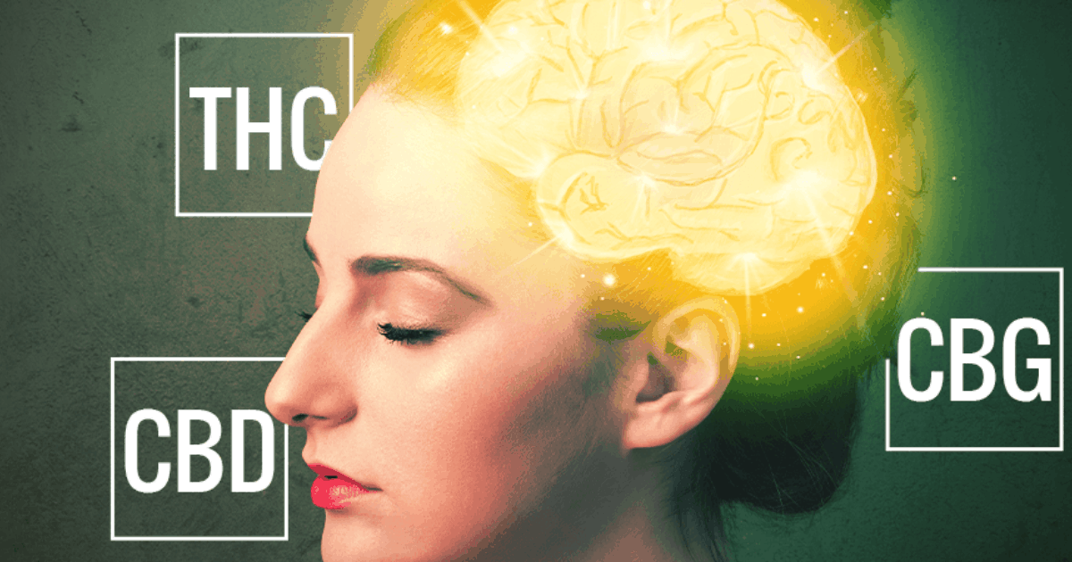 Hacer mantequilla de marihuana es una de las mejores formas de administración de cannabis, especialmente para los usuarios de marihuana medicinal que no quieren fumar debido a las consecuencias negativas y los efectos psicoactivos