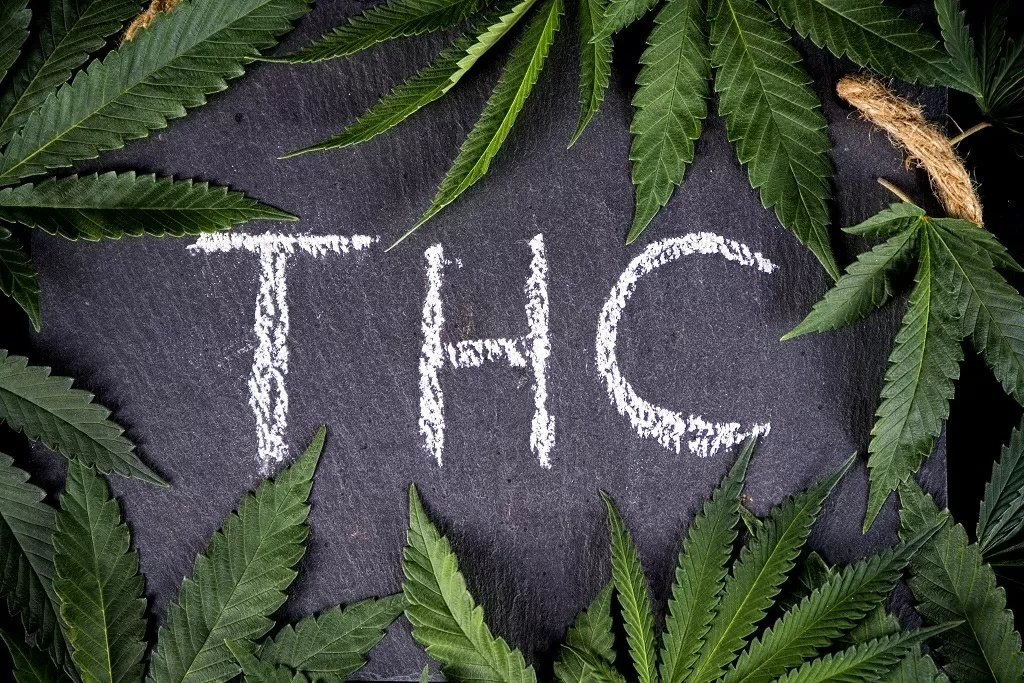 Thc nel sangue: quanto dura, come smaltirlo prima