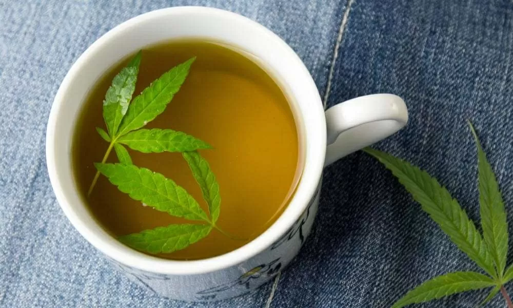 Tisane cannabis