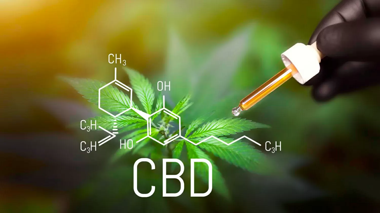 Contre indications du cbd