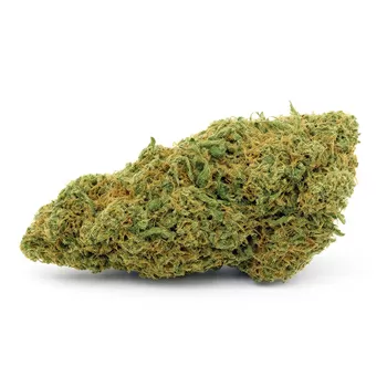 Gelato 2025