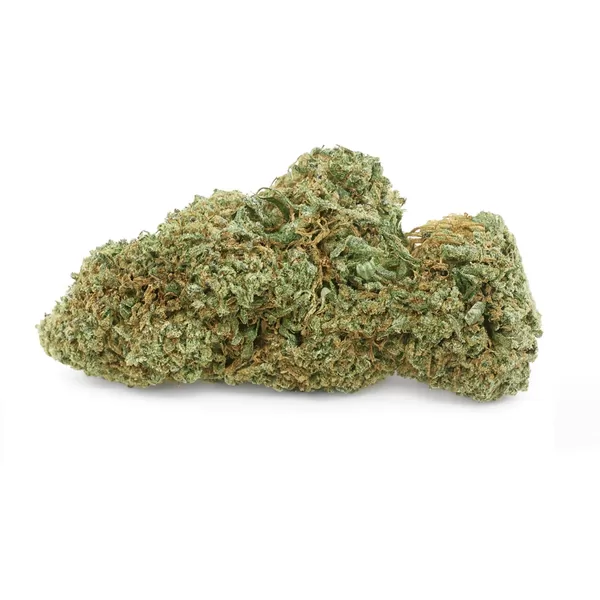 New york diesel 2025