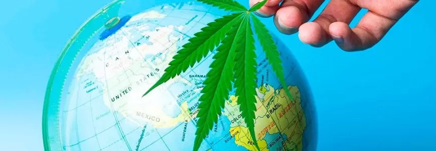 Viaggiare fumare cannabis