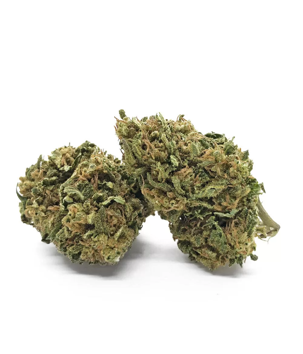 Bubble Gum