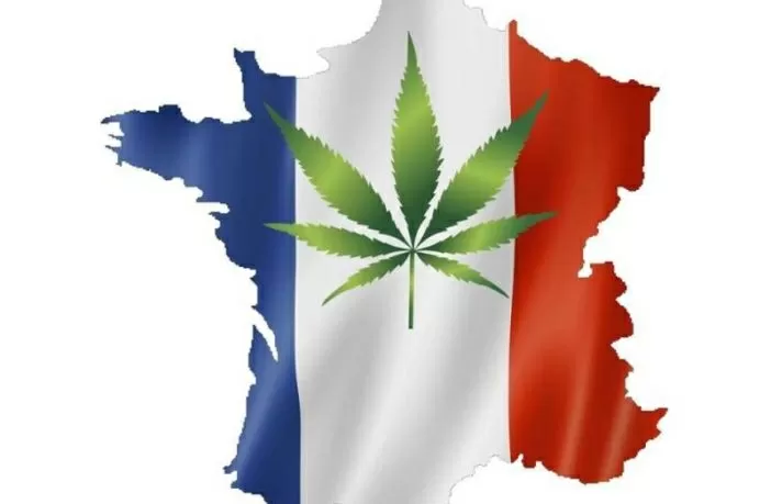 Ce qui est certain, c'est que la loi française sur la CDB considère comme légaux les produits de la CDB ayant une teneur en THC inférieure à 0,2 %.