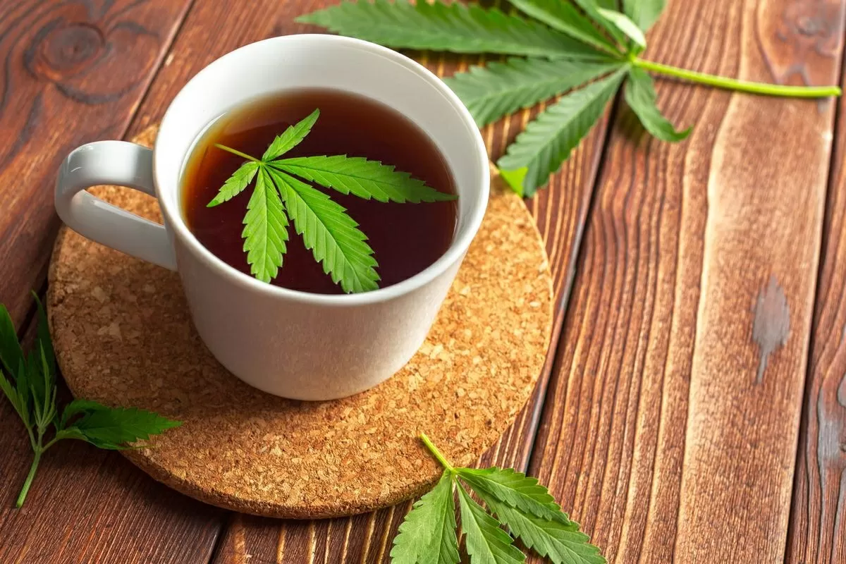 Cannabis tea