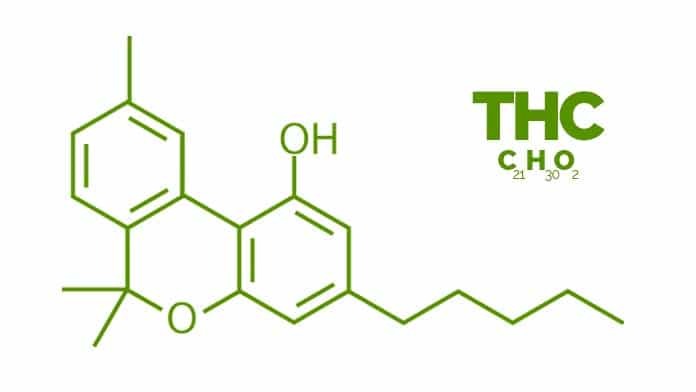 El tetrahidrocannabinol o THC es la sustancia psicoactiva por excelencia presente en el cannabis: de hecho, los efectos típicos de la toma de marihuana son atribuibles a este principio activo, aunque permanece en el torrente sanguíneo de unos días a unas semanas: