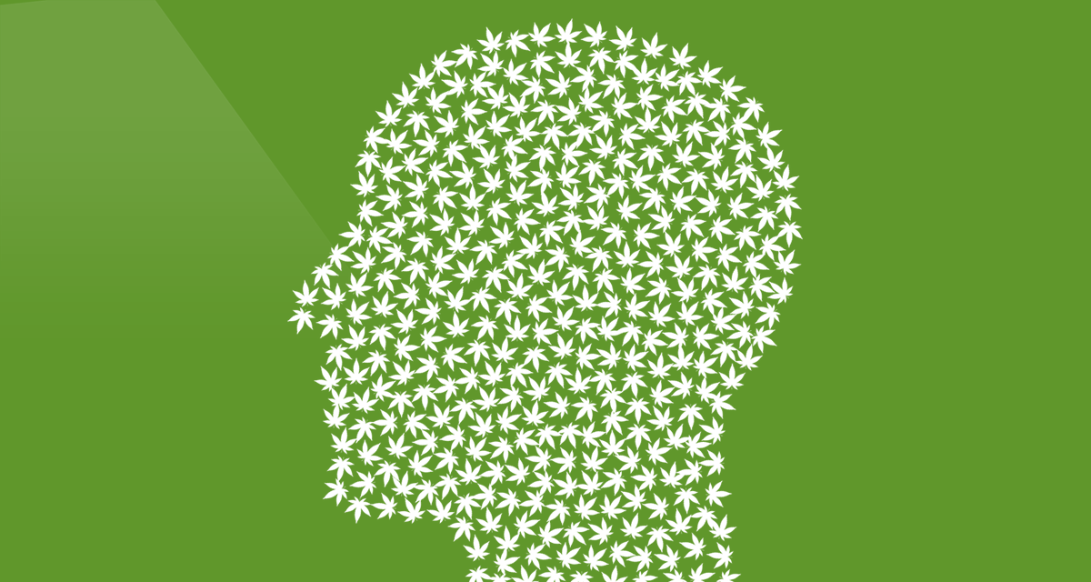 Los estudios realizados hasta ahora sobre los efectos del cannabis en el cerebro, aunque parecen casi totalmente inconclusos, revelan algunos detalles bastante interesantes y dignos de mención.