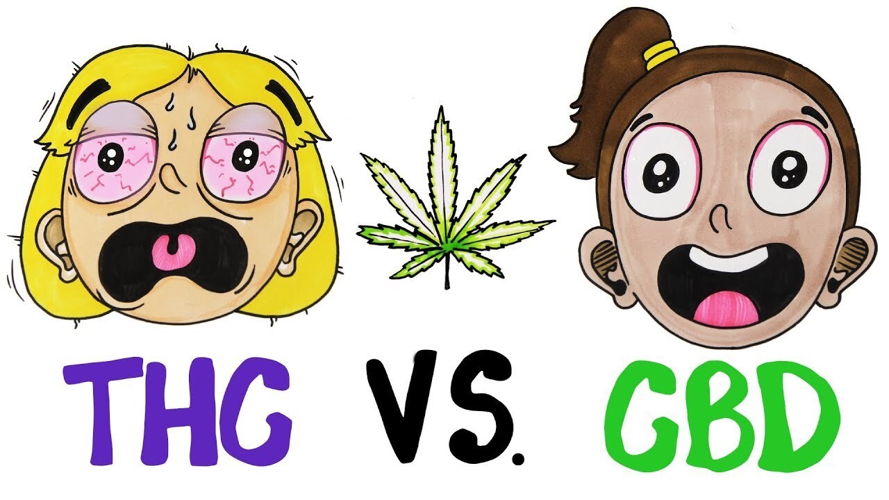 Tanto el THC como el CBD son los dos principales compuestos químicos que se encuentran habitualmente en el marihuana.