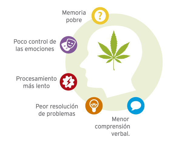 Los principales efectos dados por la ingesta de cannabis pueden implicar innumerables beneficios para el organismo y al mismo tiempo algunos efectos secundarios, generalmente determinados por la presencia de THC, un principio activo típicamente psicotrópico y psicoactivo, responsable de la 'eficacia dopante' de esta materia vegetal.