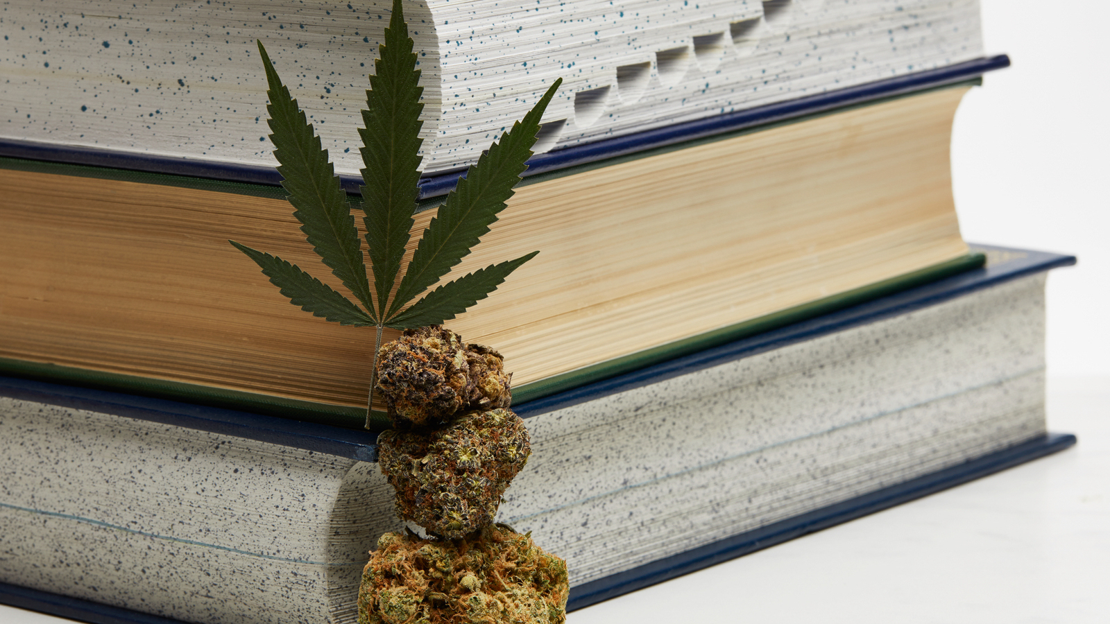 ¿Cuáles son las desventajas de estudiar después de fumar cannabis? Dependiendo de la variedad de cannabis que se utilice, así como de las circunstancias y el contexto en el que se use, la marihuana puede ser beneficiosa para estudiar después de consumirla, siempre que sea en dosis moderadas.