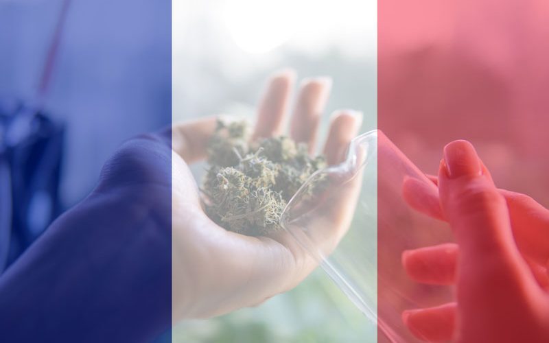 En France, jusqu'à présent l'un des pays les plus prohibitionnistes d'Europe, le débat sur la légalisation du cannabis a été relancé. Cela est principalement dû à la prolifération des magasins de cannabis légal.