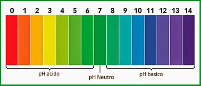 Le pH du sol indique la mesure numérique de son acidité, c'est-à-dire la concentration en ions hydrogène (H+) du sol dans sa phase liquide, comparée à celle des ions hydroxyle. Les composés chimiques présents dans le sol contribuent à la variation de cette valeur.