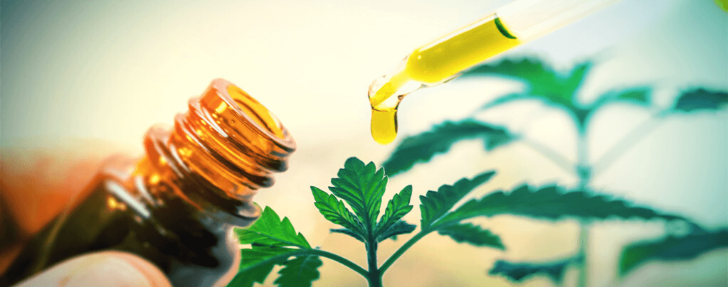 ¿Qué es el aceite de CBD y cómo se obtiene?