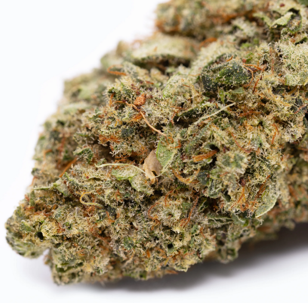 Super Lemon Haze y las demás: variedades y cruces obtenidos a partir de Lemon Haze