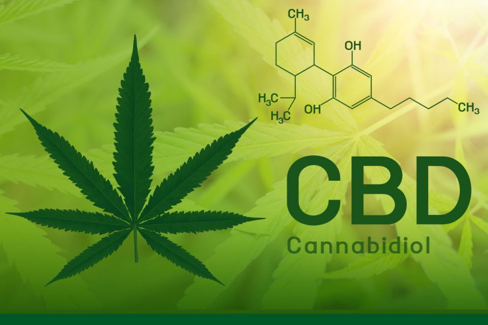 Le CBD ou cannabidiol est un phyto cannabinoïde non psychoactif obtenu à partir des inflorescences de la plante de cannabis sativa.