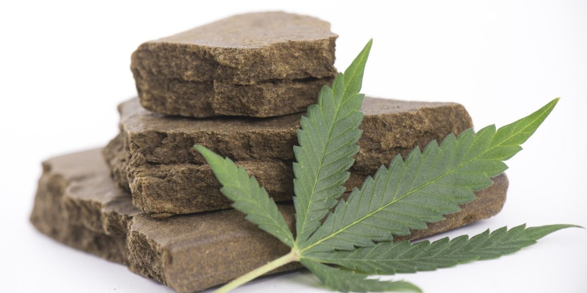 Hachis qué es, qué efectos tiene, cómo se produce CBDMania Shop España Hachis qué es, qué efectos tiene, cómo se produce CBDMania Shop España