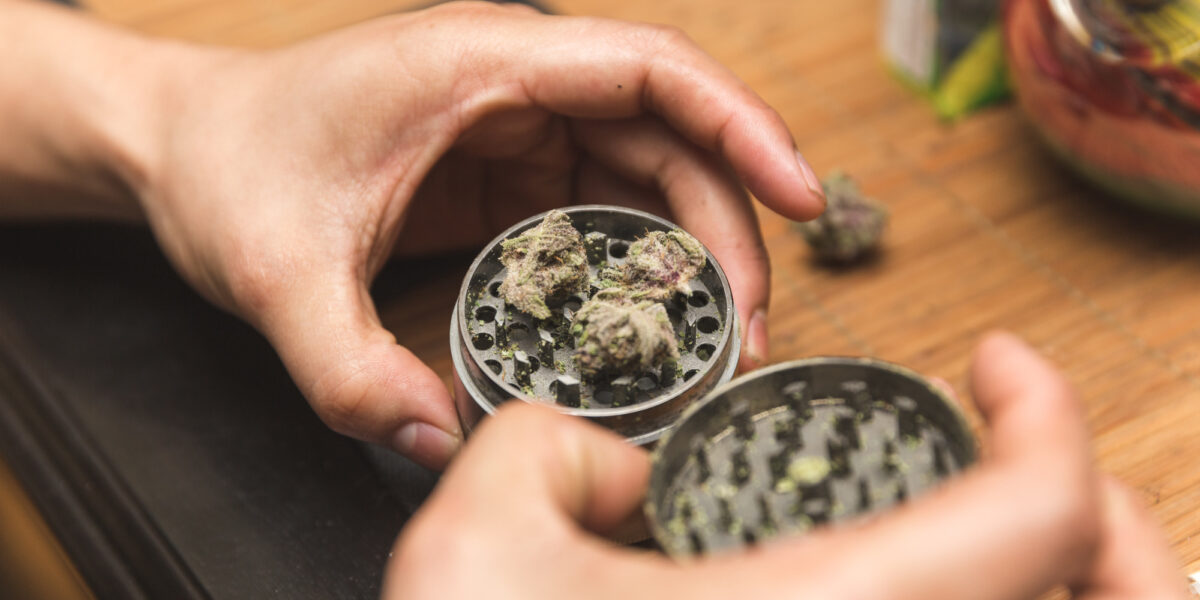 What is a Weed Grinder? Which Are The Best Grinders? CBDMania.eu