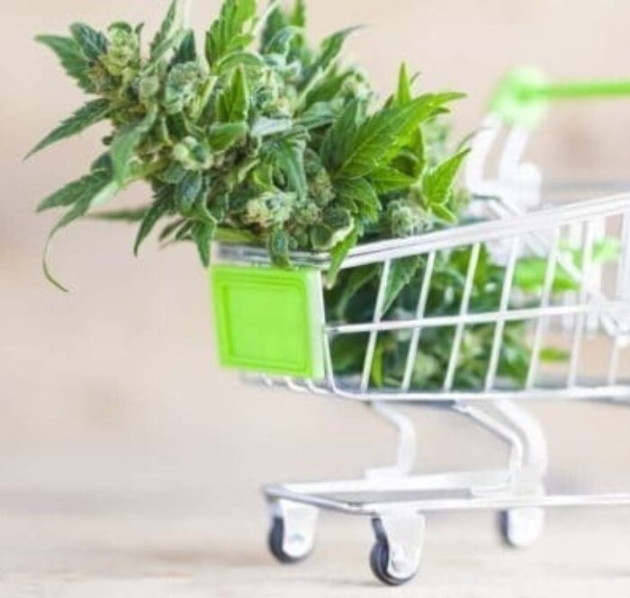 CBD Achat ou acheter le meilleur cannabis light en Ligne