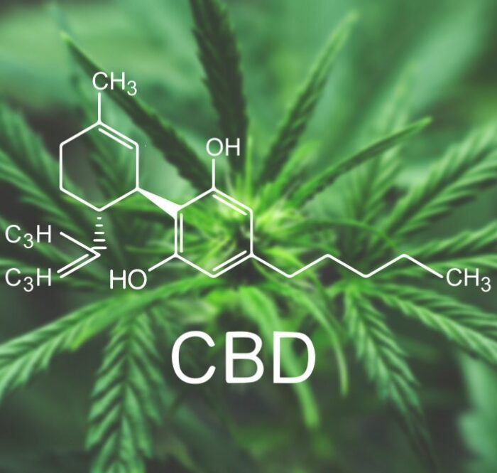 Il n'existe actuellement aucune étude scientifique décrivant précisément les effets secondaires du cannabidiol ou CBD. Ce qui est certain, c'est qu'il est très bien assimilé par le corps humain.