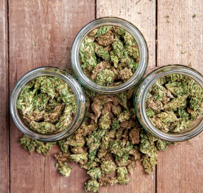 Curing cannabis pour en am Eliorer le go Ut