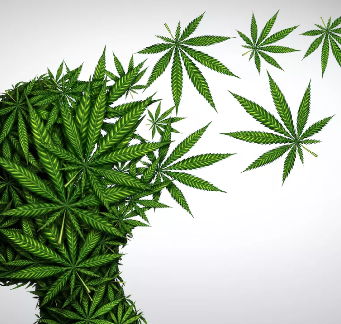 Marihuana efectos