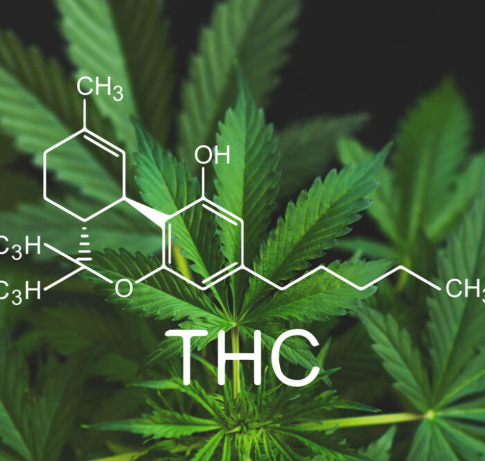 Le temps utile et nécessaire pour se préparer adéquatement au test THC est d'environ 2 semaines. L'une des méthodes les plus efficaces consiste à éliminer le THC par une sorte de "processus de nettoyage" dans l'organisme.