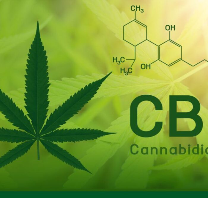 Le CBD ou cannabidiol est un phyto cannabinoïde non psychoactif obtenu à partir des inflorescences de la plante de cannabis sativa.