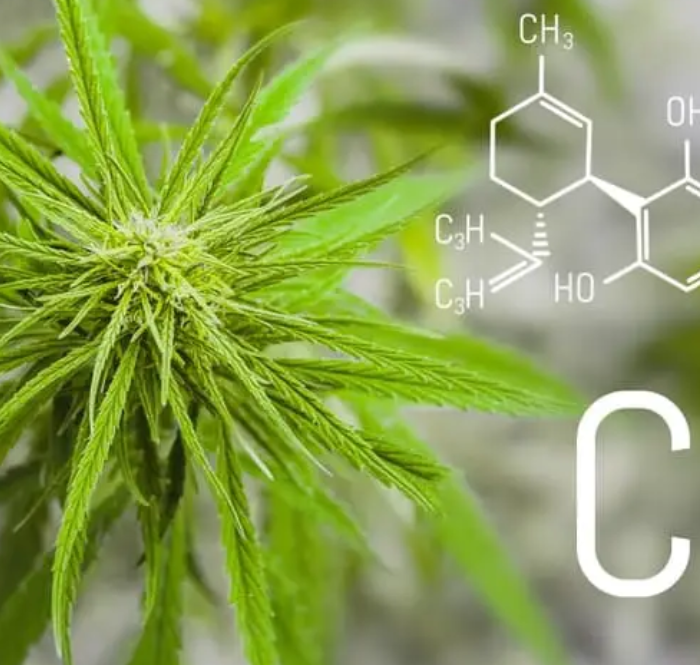 Bienfaits du CBD