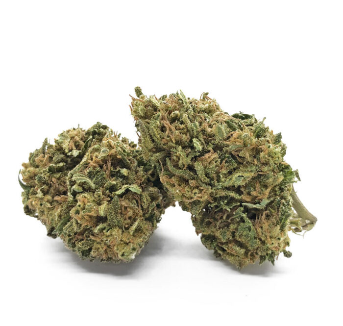 Bubble Gum