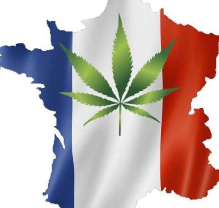 Ce qui est certain, c'est que la loi française sur la CDB considère comme légaux les produits de la CDB ayant une teneur en THC inférieure à 0,2 %.