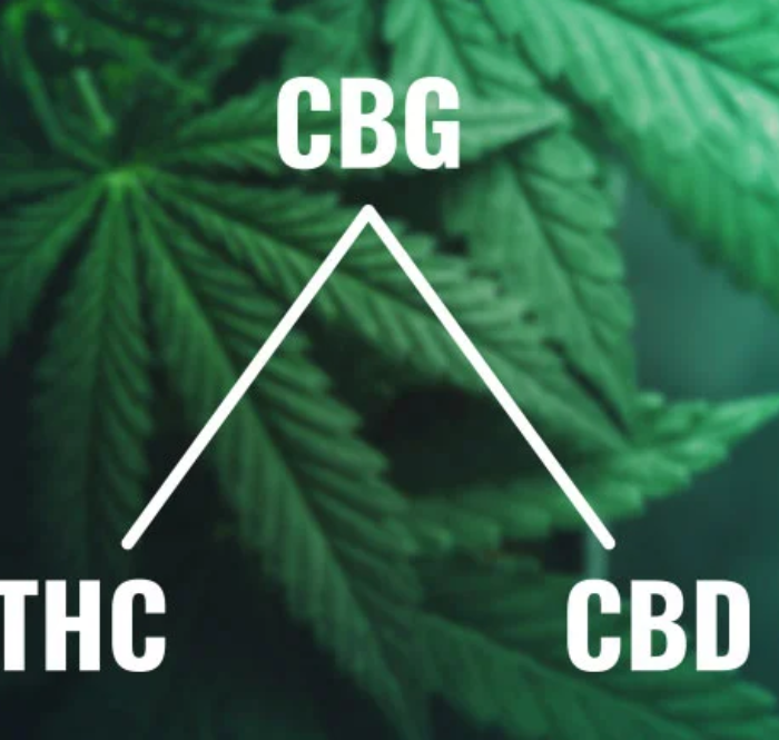 Cbd thc cbg