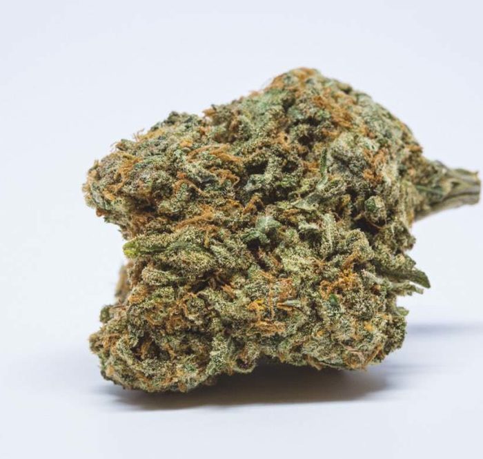 Cheese Weed specifically originates from crossing Skunk#1 with Afgan and only then will different genetics be hybridised to produce more resin and trichomes.