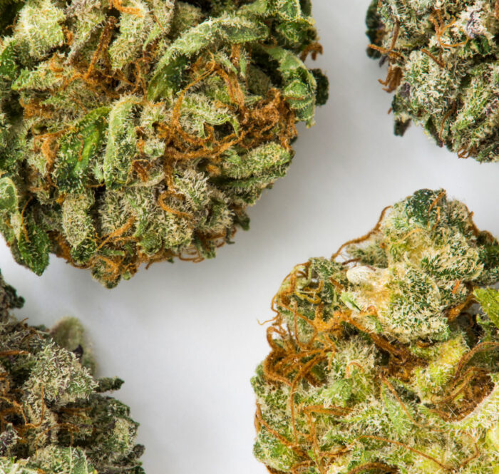 Evaluating good-quality weed solely on its visual appearance could in fact be misleading. For this reason, it is necessary to smoke it, vaporize it or use it in tasty marijuana recipes in order to draw the necessary conclusions.