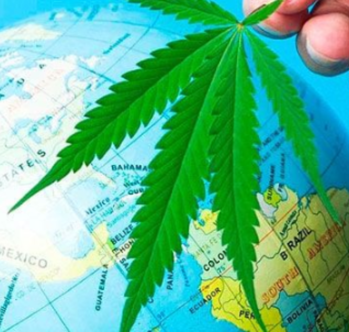 Viaggiare fumare cannabis