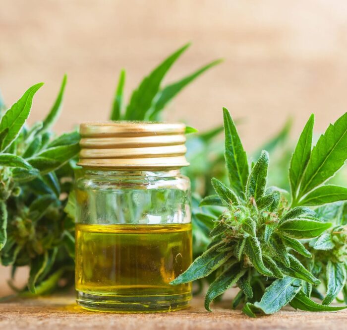 Cannabidiol or CBD is nothing more than a metabolite of cannabis, an active ingredient with beneficial effects.