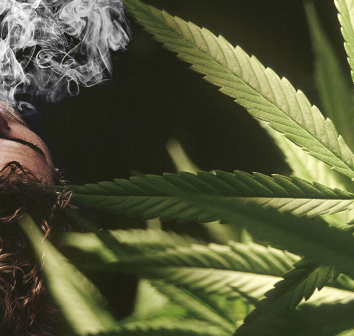 Effetti ganja cbdmania
