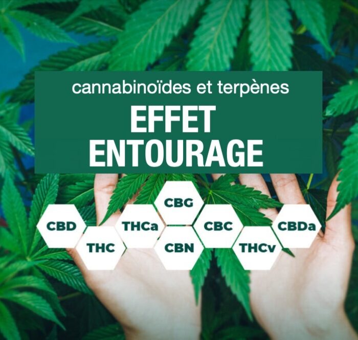 Entourage