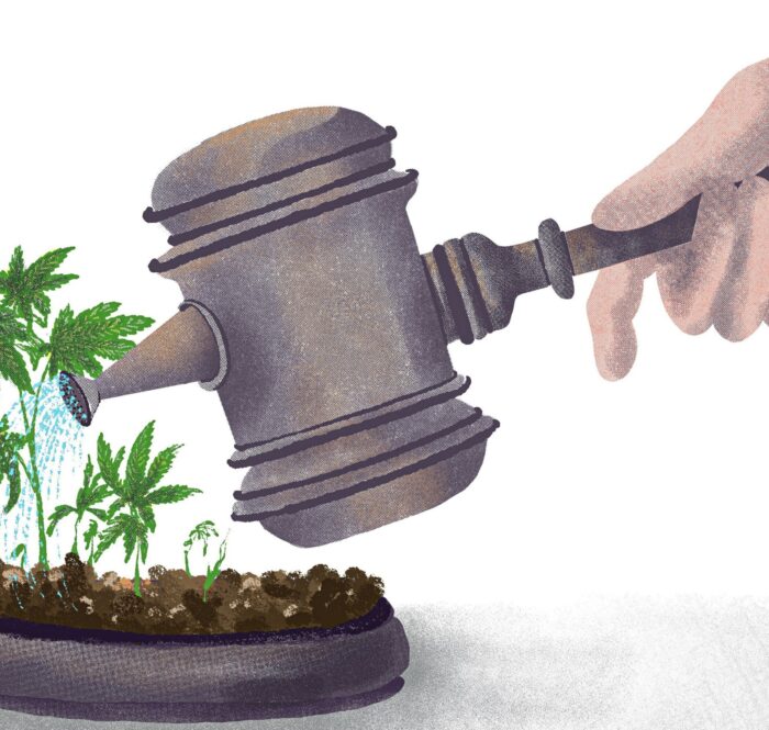 Legalisation cannabis