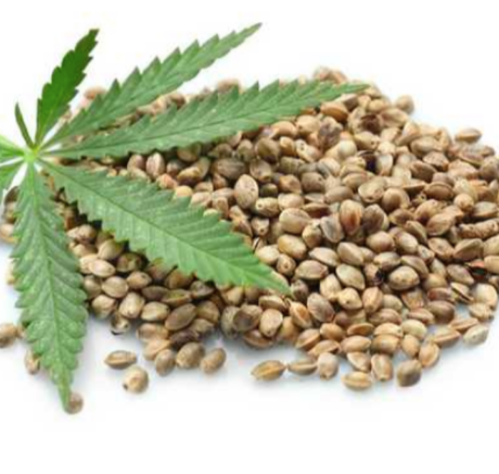 Marijuana seeds
