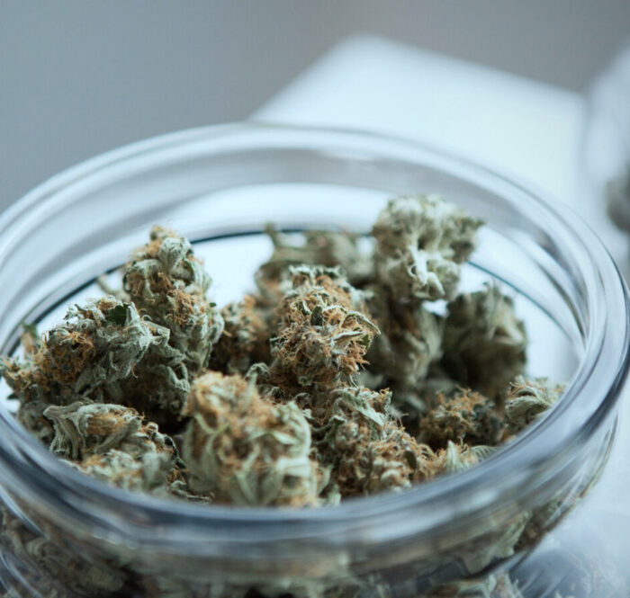 Uses and effects of weed