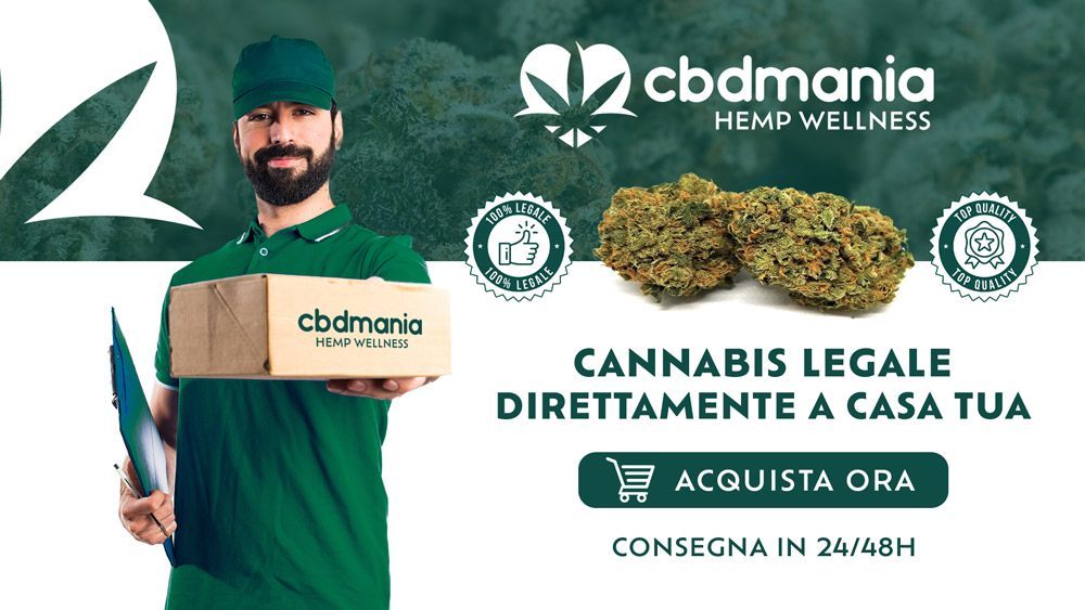 Dove comprare la marijuana legale