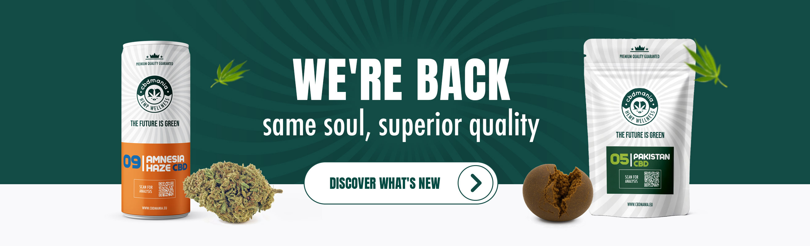 bannerLayoutDesktop