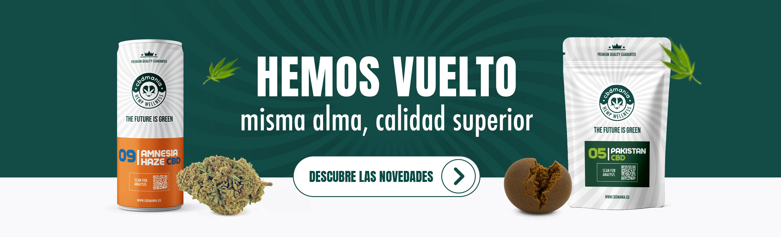 bannerLayoutDesktop