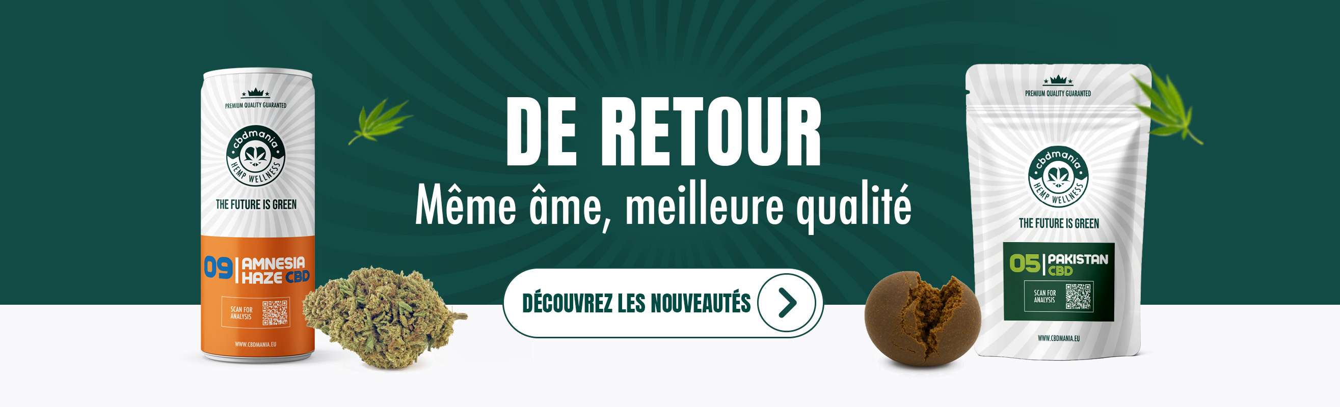 bannerLayoutDesktop