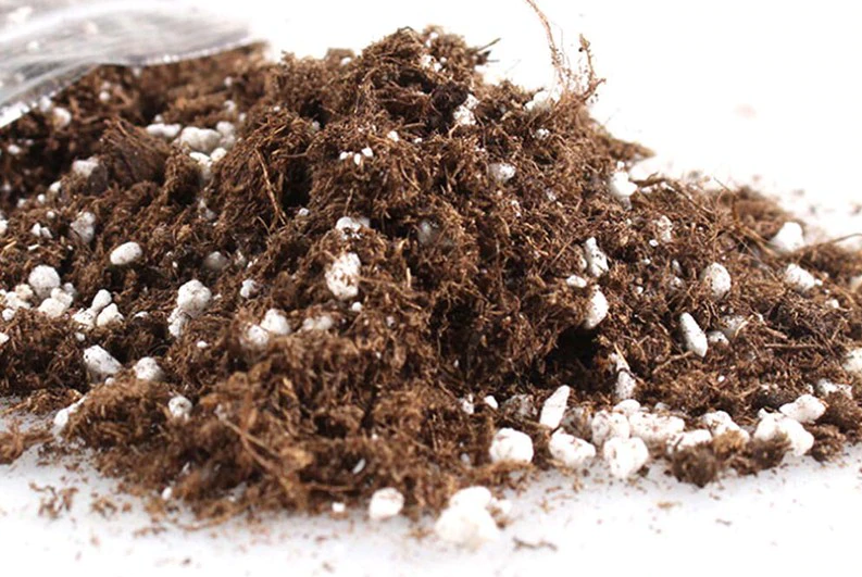 La plupart des cultivateurs qui utilisent la fibre de coco aiment ajouter environ 30% de perlite au mélange pour obtenir les meilleurs résultats. Bien que de nombreux cultivateurs mélangent également des cailloux d'argile dans une proportion similaire.