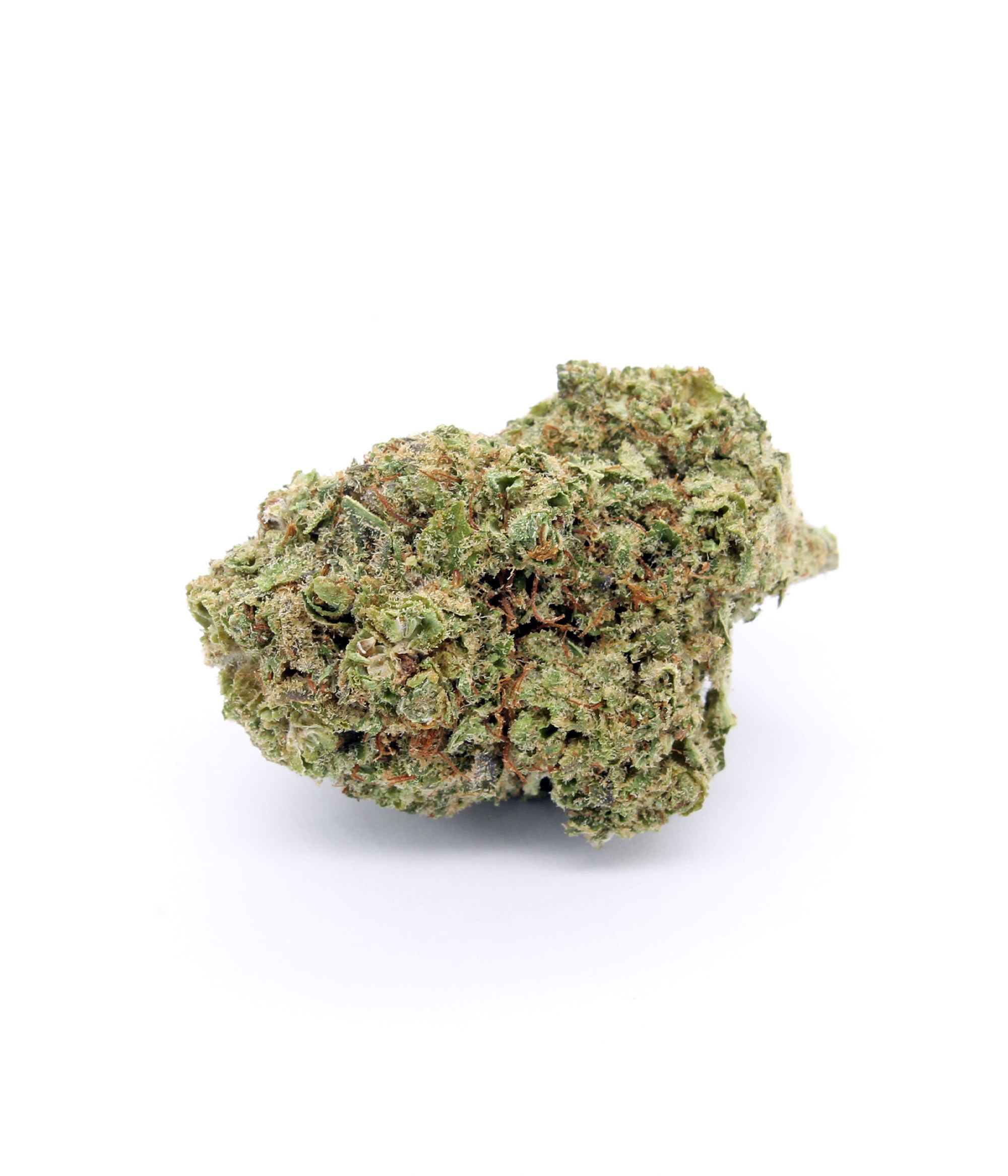 Gorilla glue 2026