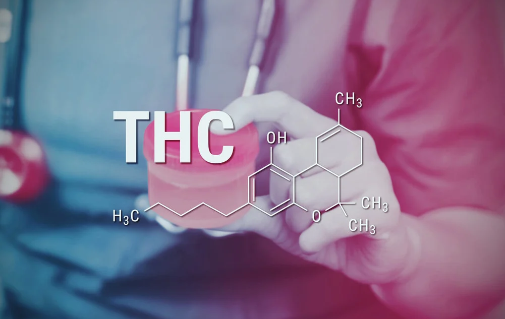 Le temps dont le corps a besoin pour éliminer la présence de cannabis dépend de plusieurs facteurs, notamment le métabolisme, le pourcentage de graisse corporelle,la sensibilité plus ou moins marquée aux tests et la consommation de chacun.